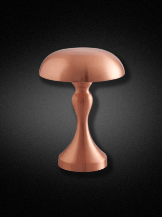  Lampe de Table | Sans Fil B1